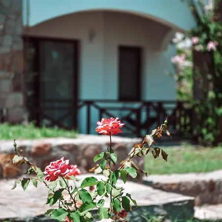 Boutique Hotel 3*