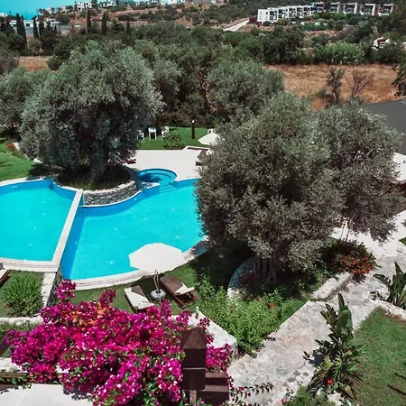 Hotel Boutique 3*