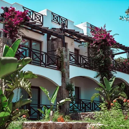 Boutique Hotel