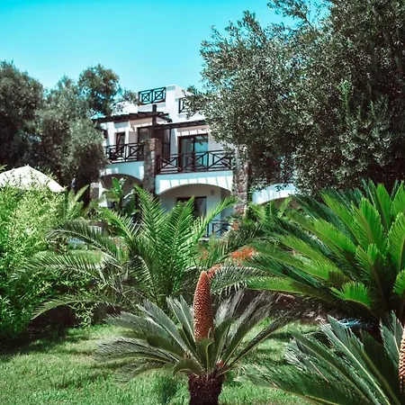 Boutique Hotel