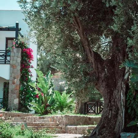 Boutique Hotel 3*