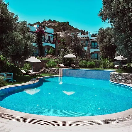 Hotel Boutique
