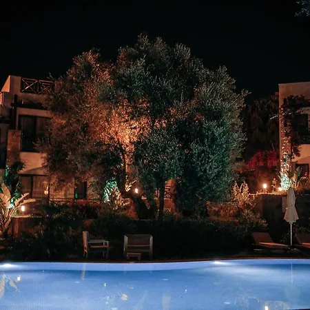 Hotel Boutique 3*